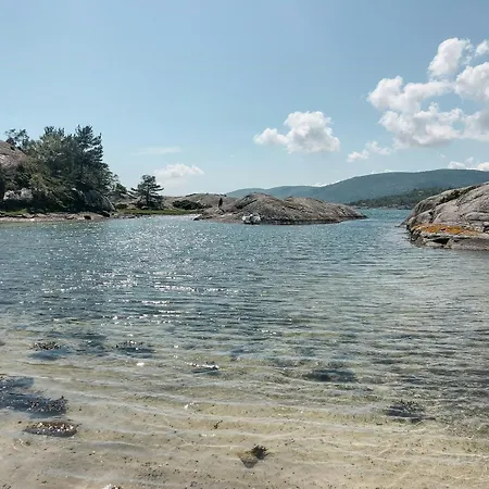 Enjoy Outstanding Fjord View In Vestlandet Hervik