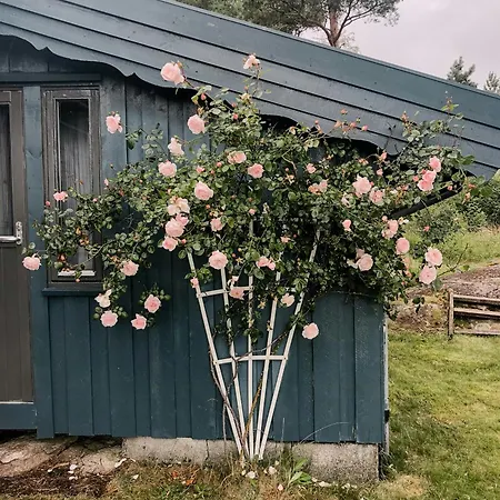 Enjoy Outstanding Fjord View In Vestlandet
